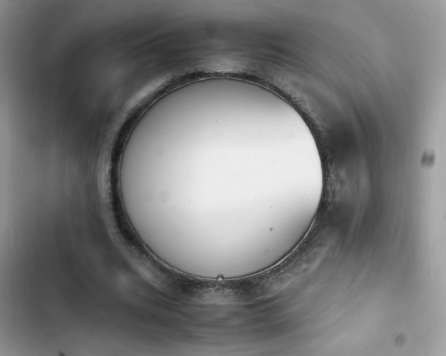 X0000103940535200809191419