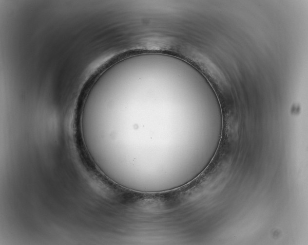 X0000103940536200809191419