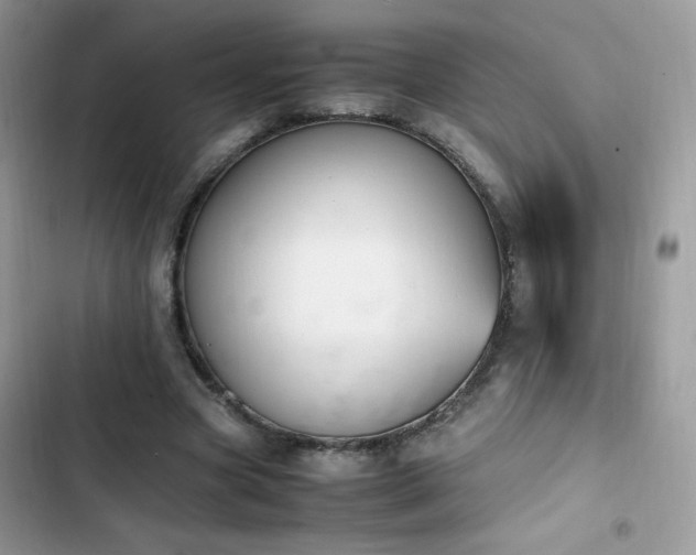 X0000103940537200809191419