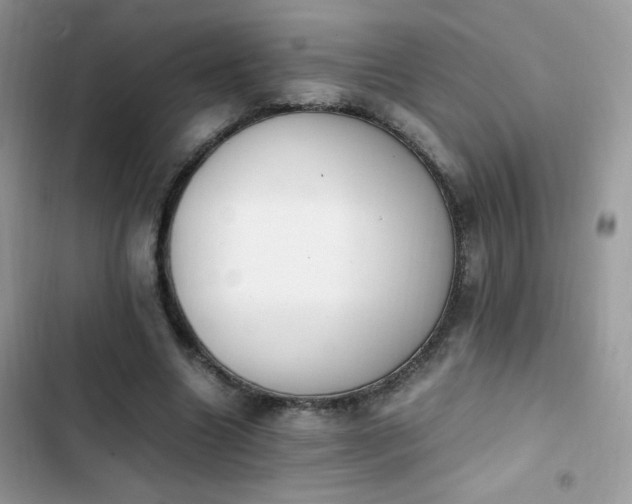 X0000103940538200809191419