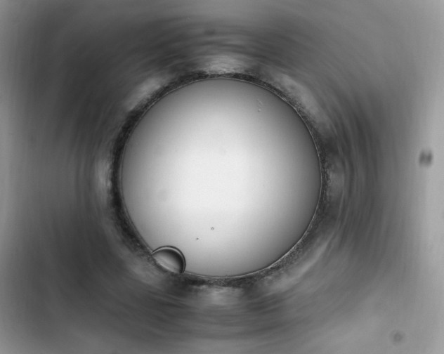 X0000103940539200809191419
