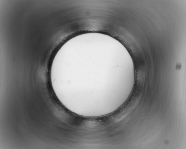 X0000103940540200809191419