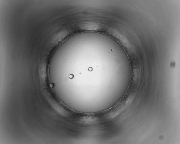 X0000103940541200809191419