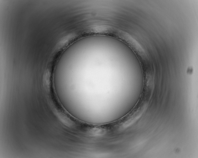 X0000103940542200809191419