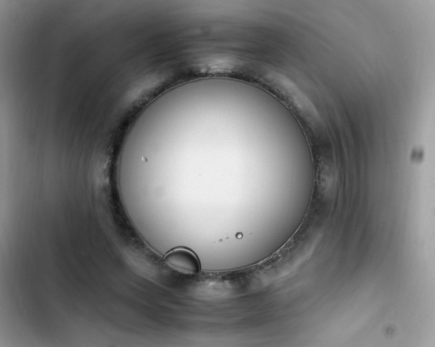 X0000103940543200809191419