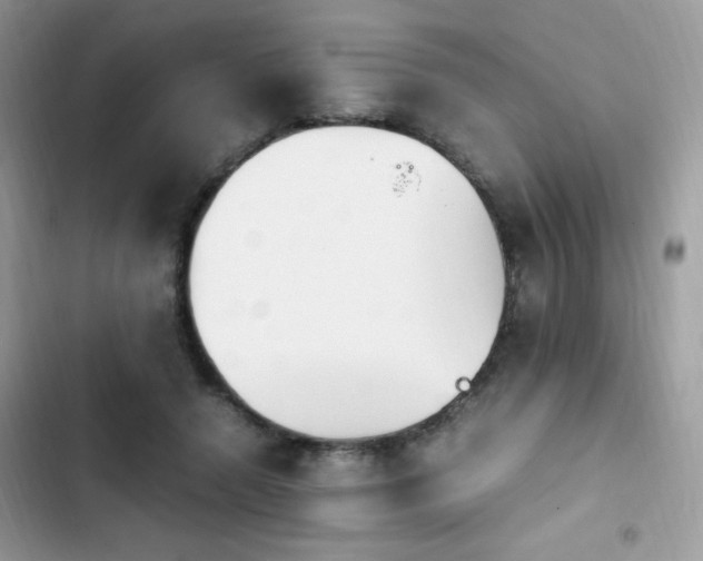 X0000103940546200809191419