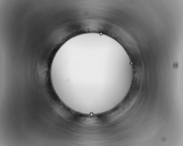 X0000103940548200809191419