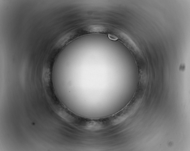 X0000103940549200809191419