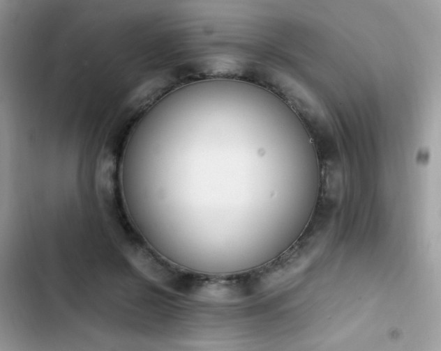 X0000103940550200809191419