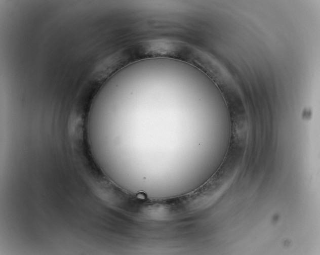 X0000103940551200809191419