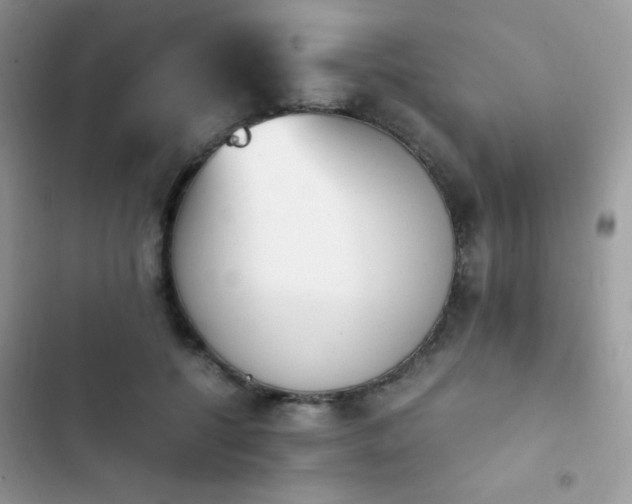 X0000103940552200809191419