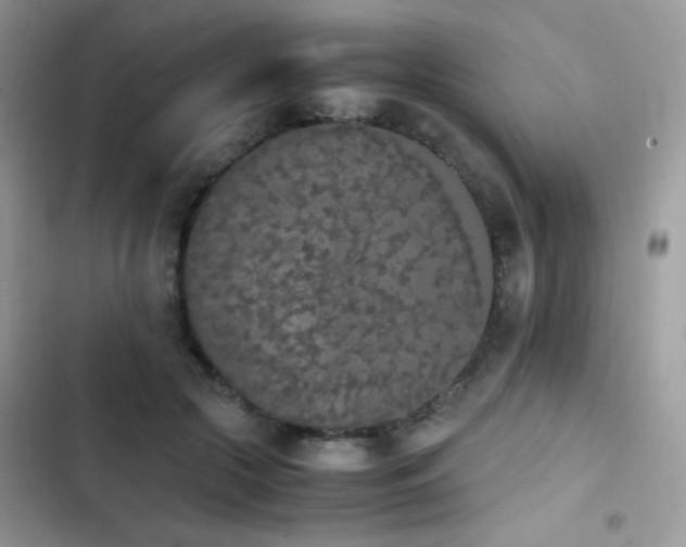 X0000103940553200809191419