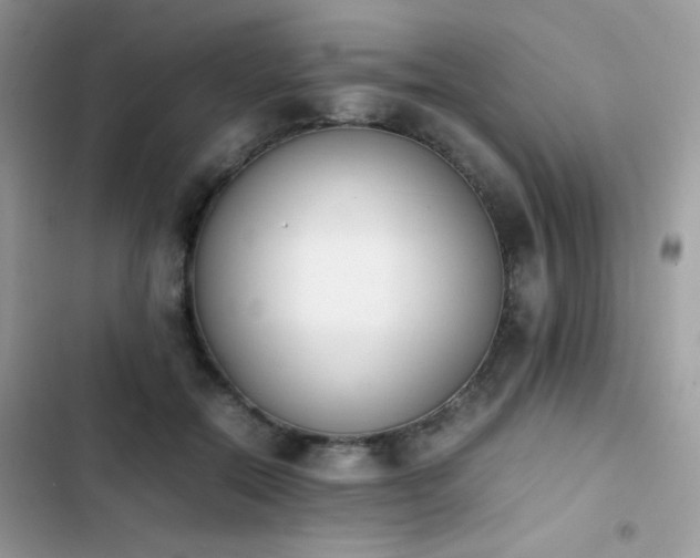 X0000103940554200809191419