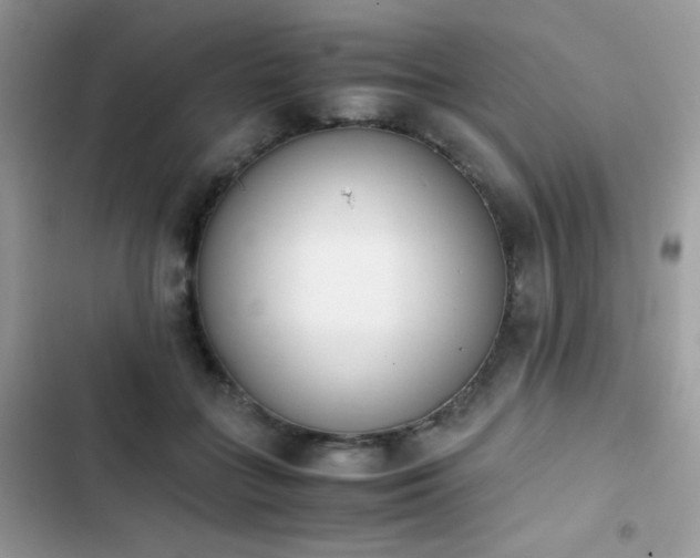 X0000103940555200809191419
