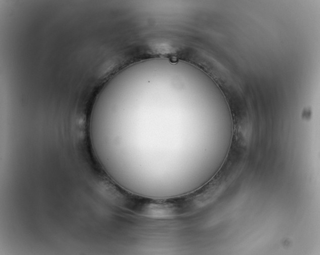 X0000103940556200809191419