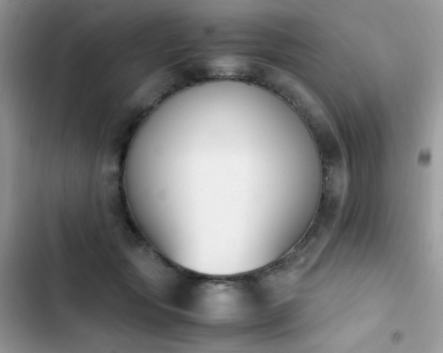 X0000103940557200809191419
