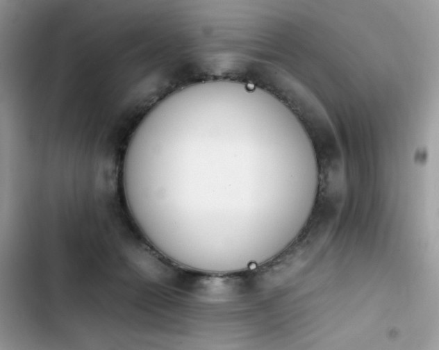 X0000103940558200809191419
