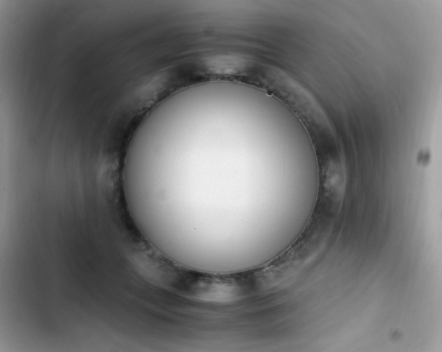 X0000103940559200809191419