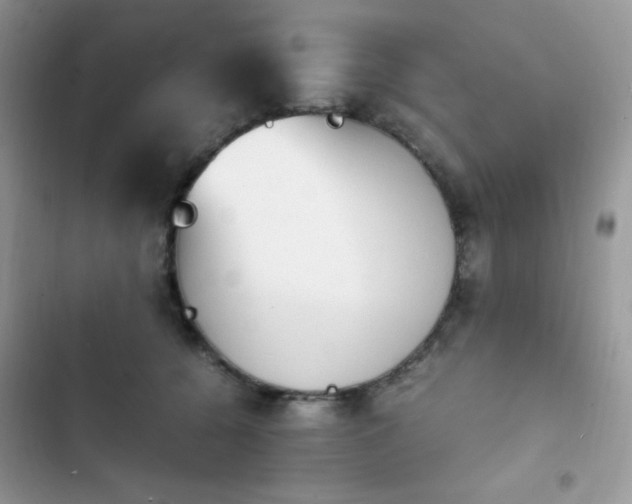 X0000103940560200809191419