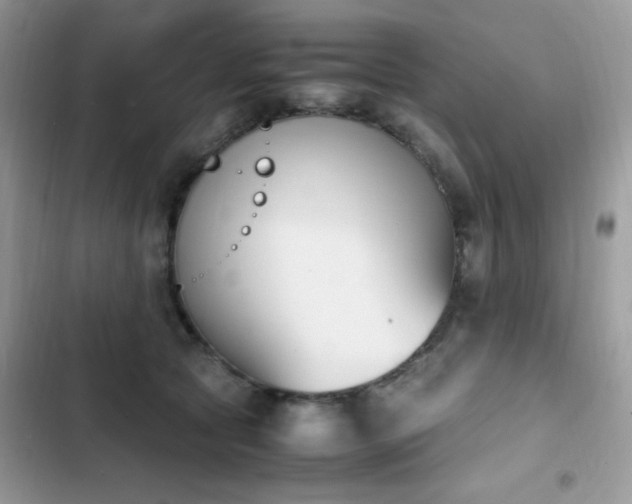 X0000103940561200809191419