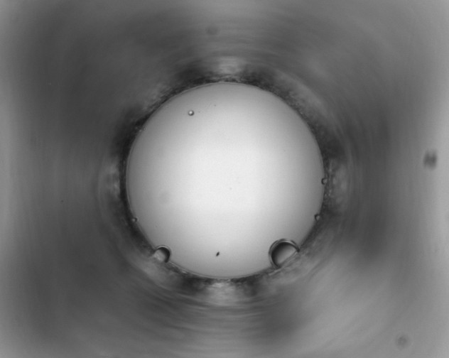 X0000103940562200809191419