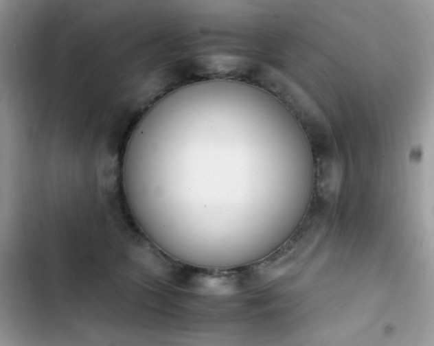 X0000103940563200809191419