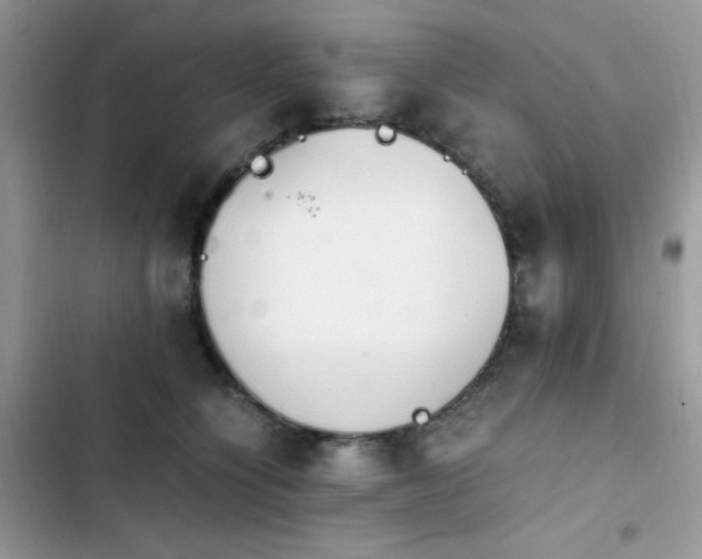 X0000103940564200809191419