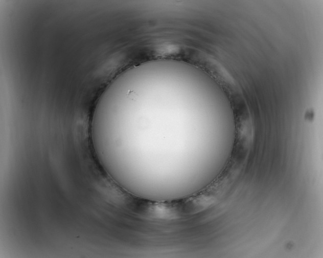 X0000103940565200809191419