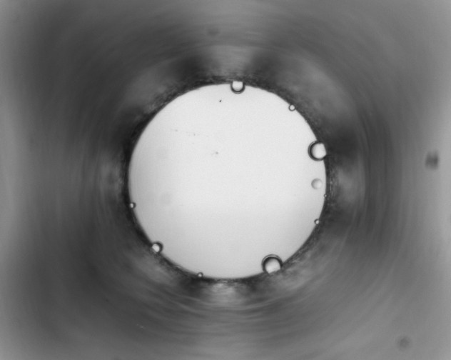 X0000103940566200809191420