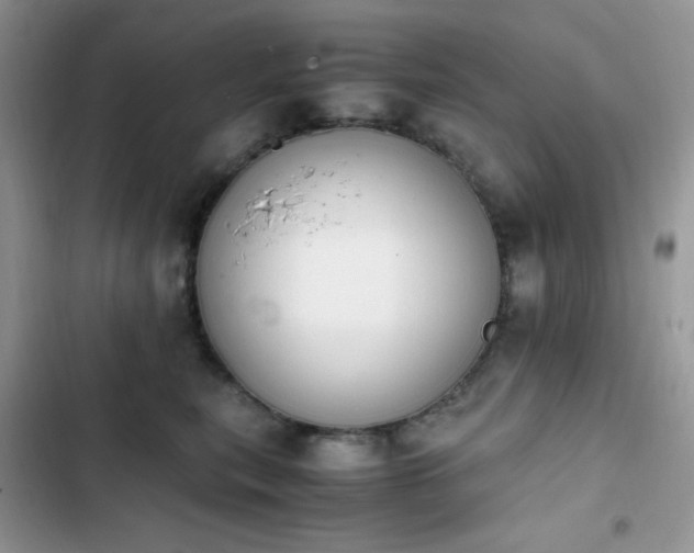 X0000103940567200809191420