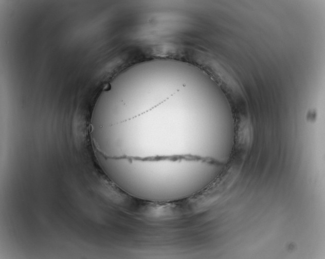 X0000103940569200809191420