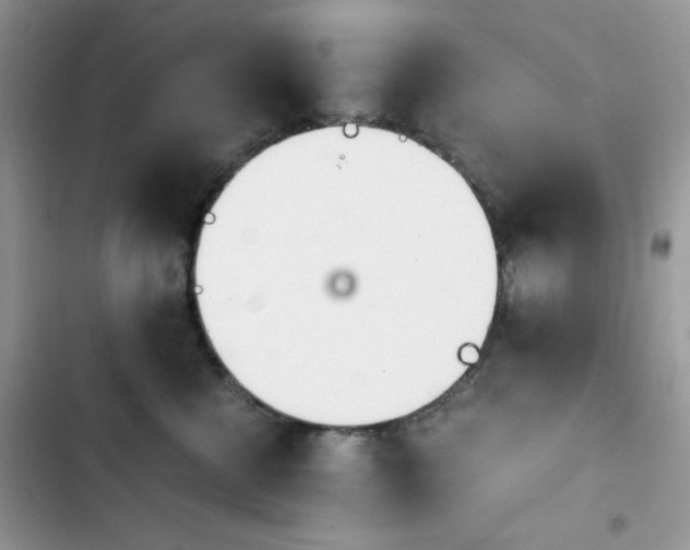 X0000103940570200809191420