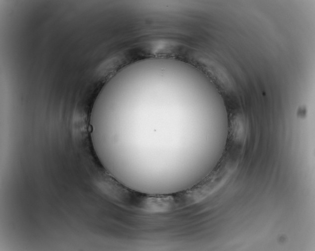X0000103940571200809191420