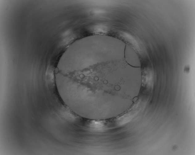 X0000103940573200809191420
