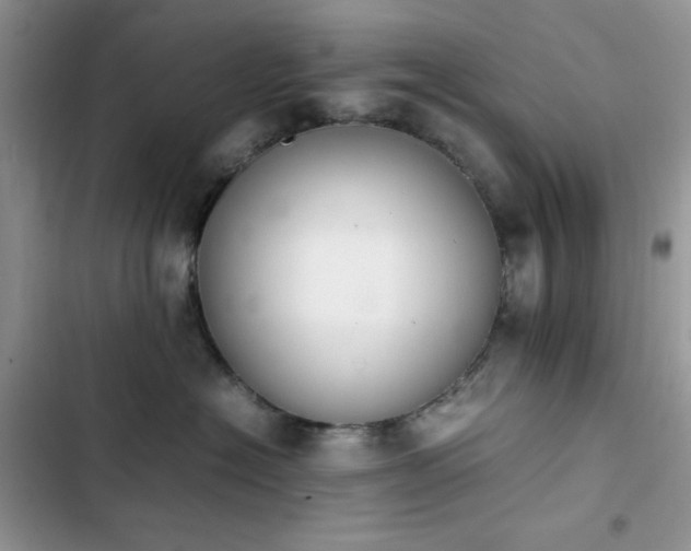 X0000103940574200809191420