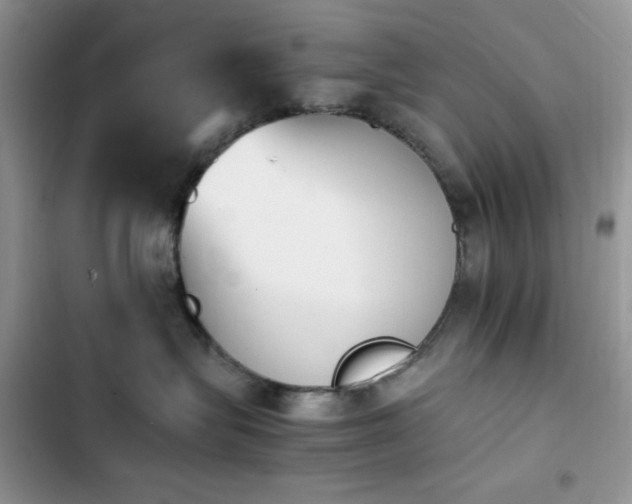 X0000103940575200809191420