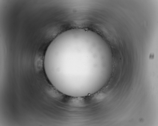 X0000103940576200809191420