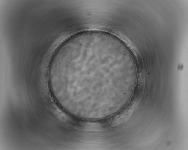 X0000103940577200809191419