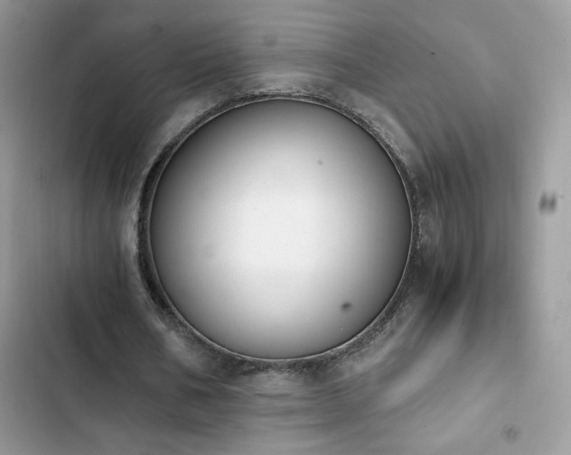 X0000103940578200809191419