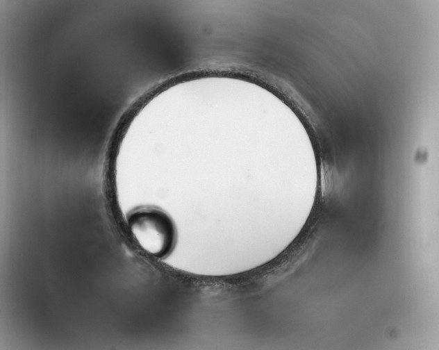 X0000103940579200809191419