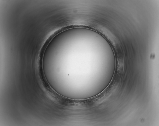 X0000103940580200809191419