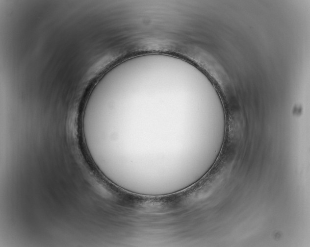 X0000103940581200809191419