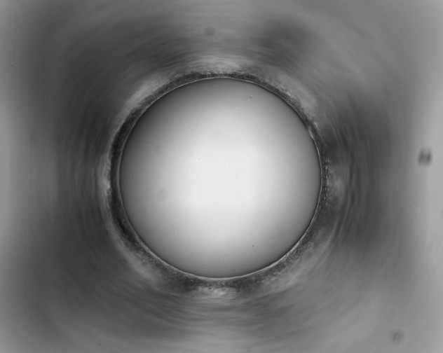 X0000103940582200809191419