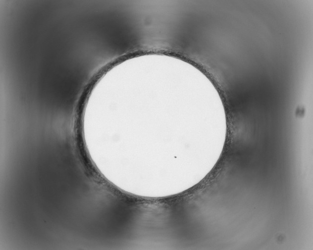 X0000103940583200809191419