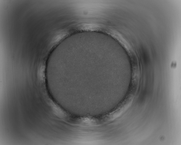 X0000103940585200809191419