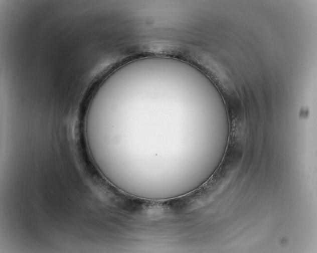 X0000103940587200809191419