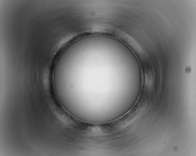 X0000103940588200809191419