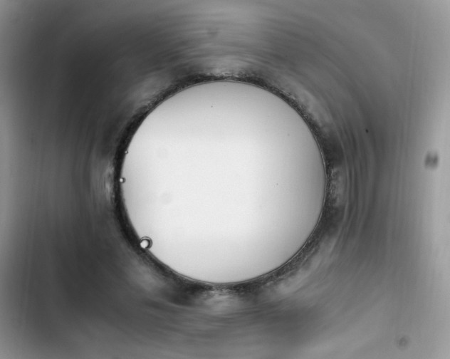 X0000103940589200809191419