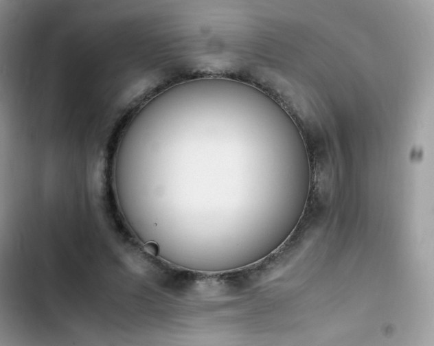X0000103940591200809191419