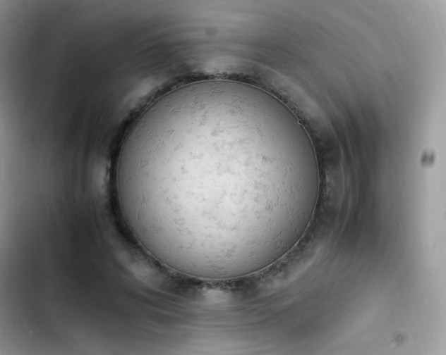 X0000103940592200809191419